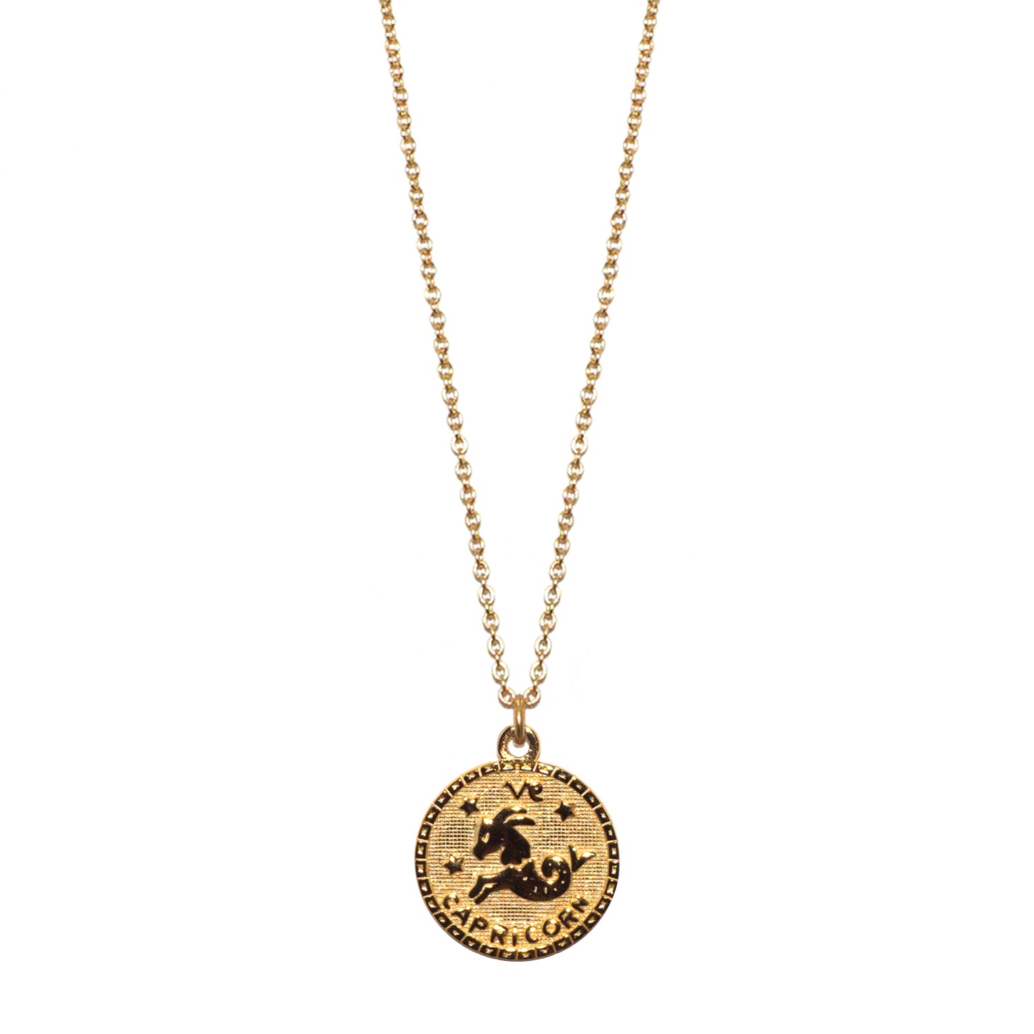 sterling capricorn zodiac necklace