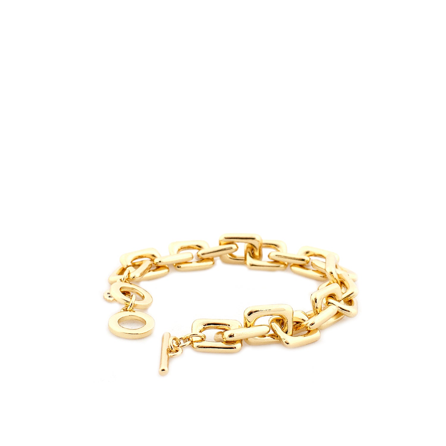 gold link charm clasp