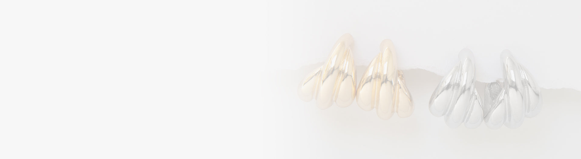 FW24