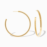 2 1/2" Hollow Post Hoop