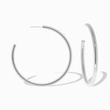 2 1/2" Hollow Post Hoop