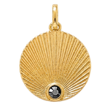 Etched Disc Charm
