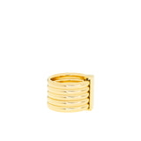 Stainless Set of 5 Linked Rings